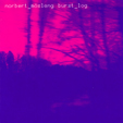 Norbert Möslang - burst_log (2006)