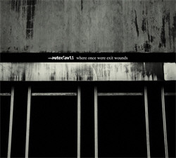 Autoclav1.1 - Where Once Were Exit Wounds (2009)