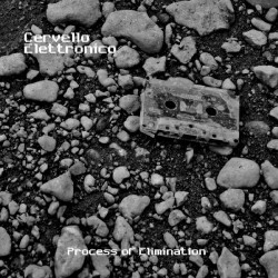 Cervello Elettronico - Process of Elimination (2009)