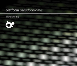 Platform - Pseudochromis (2009)
