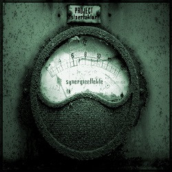 Projekt Stoerfaktor - Synergieeffekte (2010)
