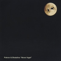 Pokrov Music - Never Forget (2009)