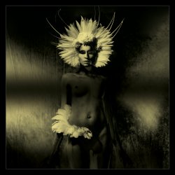 Unkle - Where Did The Night Fall: Another Night Out (2CD) (2011)