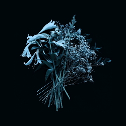 Mirror Of Haze - The End Is the Beginning (2021)