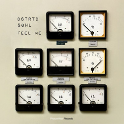 DSTRTD SGNL - Feel Me (Single) (2024)
