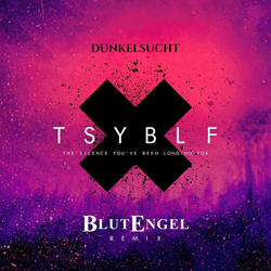 Dunkelsucht - The Silence You've Been Longing For (Blutengel Remix) (2024)