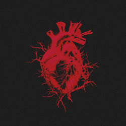 Metakross - Body Control (EP) (2024)