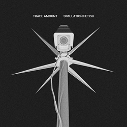 Trace Amount - Simulation Fetish (EP) (2024)