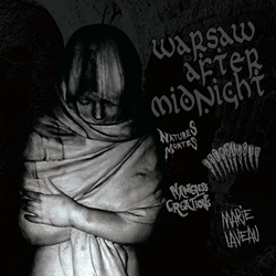 VA - Warsaw after midnight (2024)