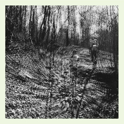 topographies - Interior Spring (2024)