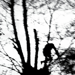 Cindytalk - Camouflage Heart (2025)